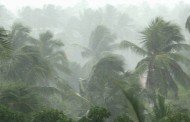 സംസ്ഥാനത്ത് ഇന്ന് ശക്തമായ മഴയുണ്ടാകുമെന്ന് മുന്നറിയിപ്പ്; നാല് ജില്ലകളില്‍ യെല്ലോ അലര്‍ട്ട്