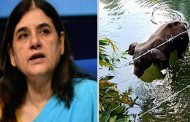 'മലപ്പുറത്തെക്കുറിച്ച് പറഞ്ഞത് കേരളത്തിലെ മന്ത്രി നൽകിയ വിവരമനുസരിച്ച്': മനേക ഗാന്ധി