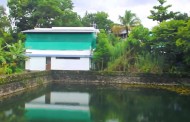 തലമുറകളെ നീന്തൽ പഠിപ്പിച്ച കൊരട്ടിയിലെ പള്ളിക്കുളം
