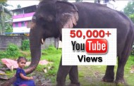 'എന്റെ കൊരട്ടി' youtube ചാനലിലെ ' ഇമ്മിണി ബല്യ ഒരു ആന' വീഡിയോക്ക് 50K വ്യൂസ്