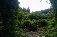 കൊരട്ടി തിരുമുടികുന്നിൽ ഫയര്‍ഫോഴ്സ്  കിണറില്‍ വീണ പശുവിനെ രക്ഷപ്പെടുത്തി