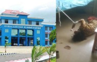 തൃശൂര്‍ മെഡിക്കല്‍ കോളേജില്‍ കോവിഡ് രോഗിയെ കെട്ടിയിട്ടു; കട്ടിലില്‍ നിന്നും വീണ വയോധികക്ക് ഗുരുതര പരിക്ക്