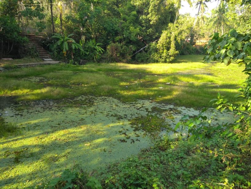 മുടപ്പുഴഡാം പുനരുദ്ധാരണത്തിനായി നടപടിയില്ലെന്ന് നാട്ടുകാരുടെ പരാതി