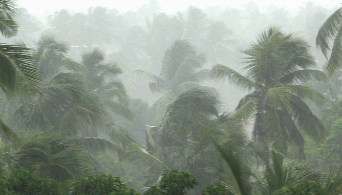 സംസ്ഥാനത്ത് ഇന്ന് ശക്തമായ മഴയുണ്ടാകുമെന്ന് മുന്നറിയിപ്പ്; നാല് ജില്ലകളില്‍ യെല്ലോ അലര്‍ട്ട്