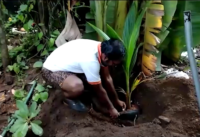 കേരം തിങ്ങും കേരള നാടിനായി - ഞാനും ചിന്നുവും