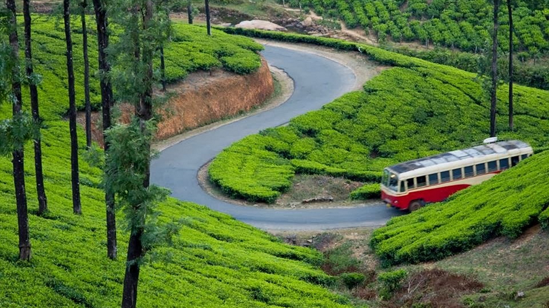 കെഎസ്ആർടിസിയിൽ മൂന്നാറിൽ ചുറ്റിക്കറങ്ങാം; പുതിയ സർവീസ് ഇന്നു മുതൽ